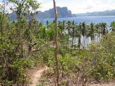 El Nido Cheap Price Seafront Lot For Sale Philippines
