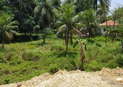 LOT for sale or for lease in Asturias, Cebu