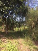 19,954 SQM LAND FOR SALE AT 350 sqm in Bulacan