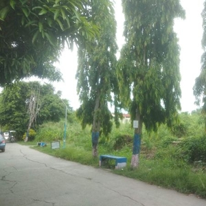 lot for sale in rizal near highway: negotiable