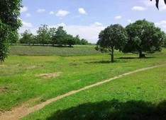 Lot for Sale in Umingan, Pangasinan (10 hectares)