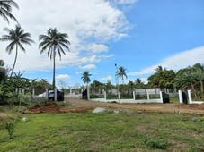Gated Farm with Guard House Concrete Road with Drainage Secured Retirement Farm Lot