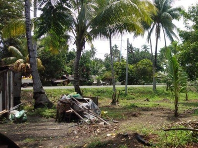 Commercial Lot for sale in Dapitan