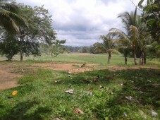 2.5 hectares land, farm house and rice field for sale