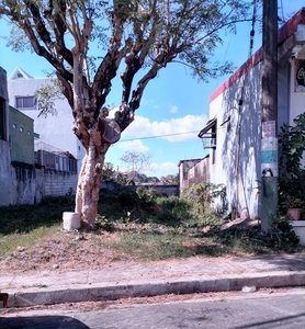 297 sq. meters Residential Lot for Sale in Parkplace Village, Cainta, Rizal