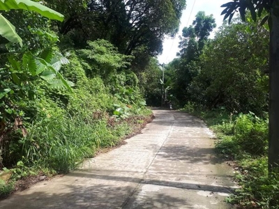 Lot for Sale in Pulangbato