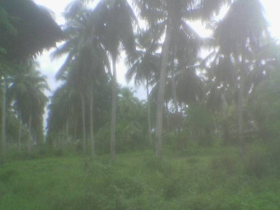 TITLED LOT For Sale Philippines
