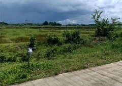 2,000 Sqm Lot for Sale Along the Brgy Road near Iloilo international Airport