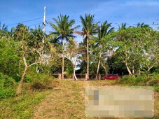 Residential Lot For Sale in Esperanza Ibaba, Alfonso, Cavite