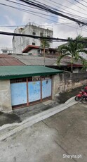 235 sqm Lot for Sale in Roxas District, Quezon City