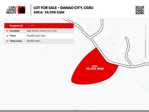 Lot For Sale In Danao, Cebu