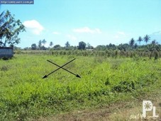 Naga City lot for sale 42hectares lot