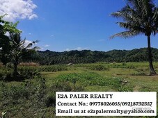 Agricultural Lot for sale in Libon