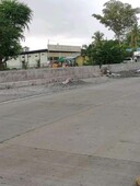 For Sale 750 sqm Commercial Lot in Sinwilan, Matanao, Davao Del Sur
