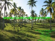 Lot for Sale- Mambago A, Samal For Sale Philippines