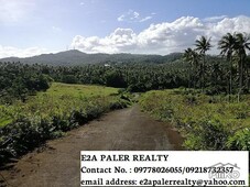 Other property for sale in Legazpi