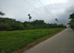 Vacant Land in Palo Leyte