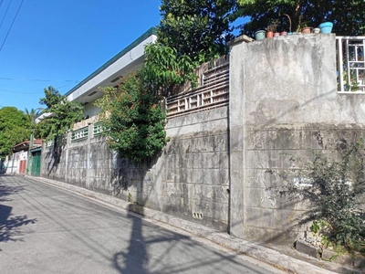 308sqm. 5 Bedrooms House & Lot for sale in Cogeo Village, Antipolo