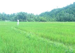Farm land for sale in Port Barton San Vicente Palawan