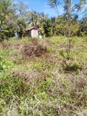 Agricultural Land for Sale in Surigao Del Norte, Siargao