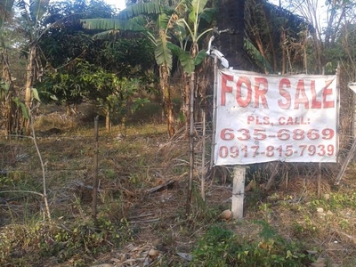 ANTIPOLO LOT FOR SALE For Sale Philippines