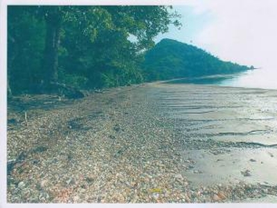 beach and resort For Sale Philippines