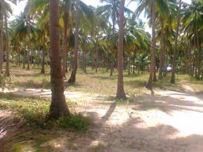 Land for sale For Sale Philippines