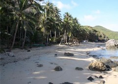 Beachfront Lot in Batas Island, Palawan