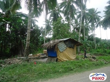 Agricultural Lot for sale in Davao City