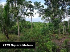 50% off for quick sale! 2179 sqm Beautiful Overlooking Lot in Panglao 1,800/sqm. Newly Developed right of way