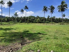 6,000 Commercial Lot for Sale in Lio, Elnido, Palawan