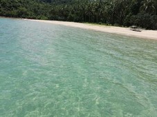 Beach Lot for Sale (Puerto Princesa, Palawan)