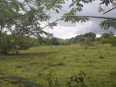 CHEAP FARM LOT OR RESIDENTIAL LOT FOR SALE IN CORTES BOHOL 4,200sq.m