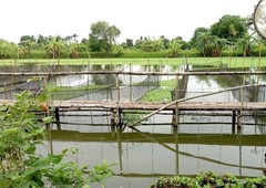 FISHPOND FOR SALE- freshwater - 4 HECTARES