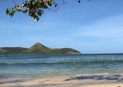Island for Sale (Coron, Palawan)