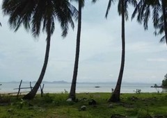 Land for sale in Sibaltan, Palawan
