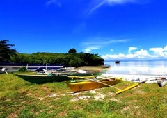 Malapascua Beach Lot For Sale good for Ssuba diving business