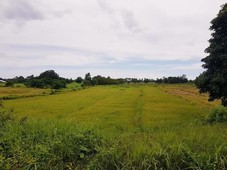 Peaceful Farm lot, Best for Investment and Retirement Narra Palawan Philippnes