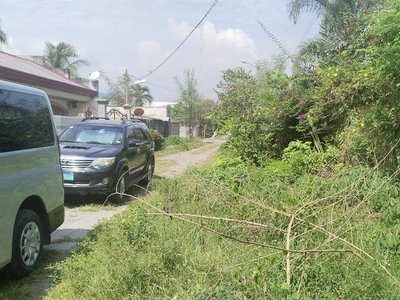2 Lots for Sale in Lacap Subd., Gensan