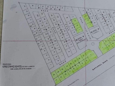 250k per 100sqm Residential land In San Juan Sta Rita,Samar near Pascualinos