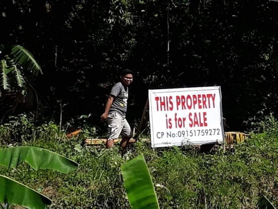 250k per 100Sqm Titled Residential Land in Guindapunan, Catbalogan City, Samar