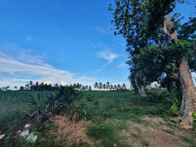 9312sqm Land For Sale in Sagay!