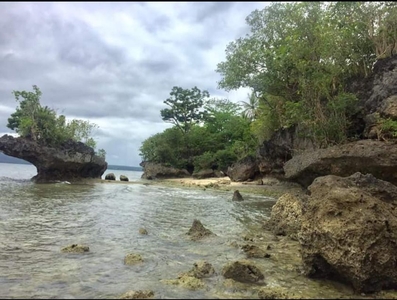 Beachlot for sale in oslob