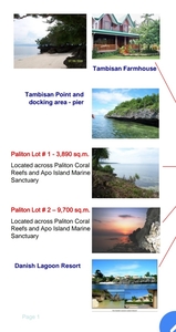 Beachlot for sale @ Paliton, Siquijor