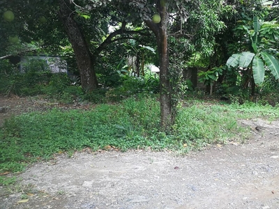 Commercial Lot for SALE beside Puerto Princesa Airport