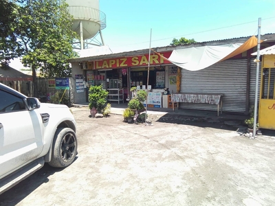 Commercial Property Along Diversion Road Mabuhay