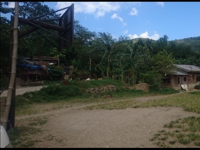 For Sale 3 Hectares Lot in Naga