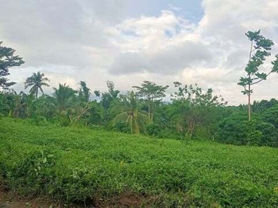 Lot For Sale In Boot, Tanauan