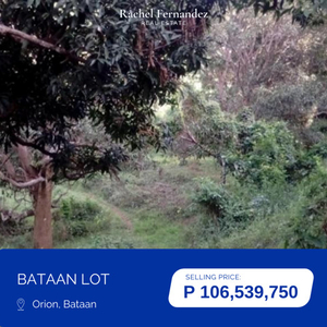 Lot For Sale In Calungusan, Orion