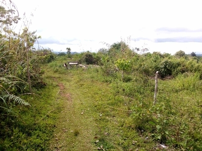 Lot For Sale In Colawingon, Talakag